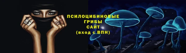ПСИЛОЦИБИНОВЫЕ ГРИБЫ Арсеньев