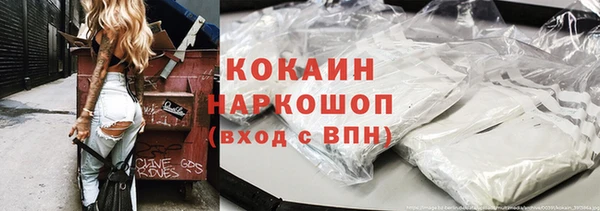 ПСИЛОЦИБИНОВЫЕ ГРИБЫ Арсеньев
